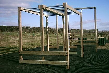 Twin Hanging Bars